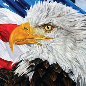 American Eagle | Jigsaw Puzzle Canada