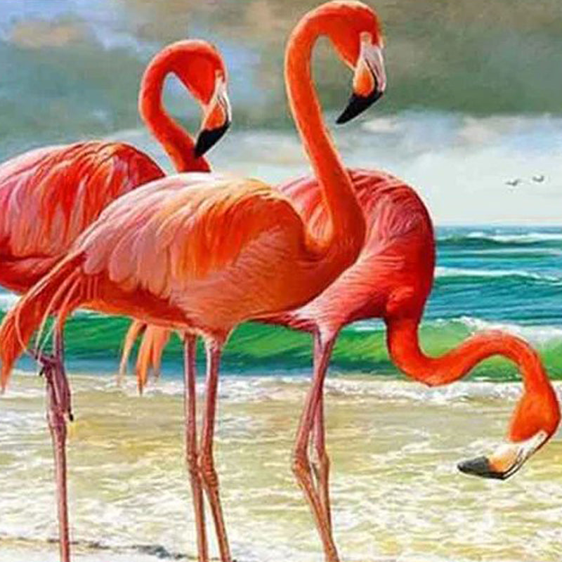 Beach & Flamingos Jigsaw Puzzle Canada