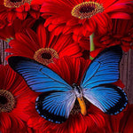 Load image into Gallery viewer, Butterfly In Flowers | Jigsaw Puzzle Canada
