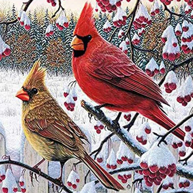 Cardinal Bird Jigsaw Puzzle Canada