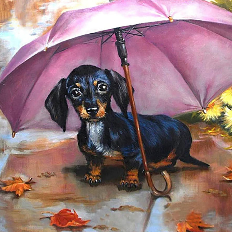 Dog In An Umbrella | Jigsaw Puzzle Canada