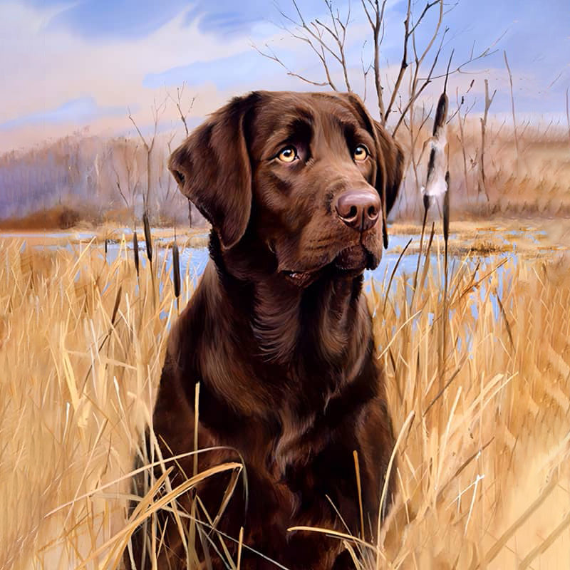 Labrador In A Field | Jigsaw Puzzle Canada