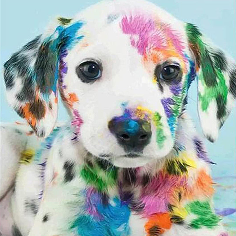 Painted Dog | Jigsaw Puzzle Canada