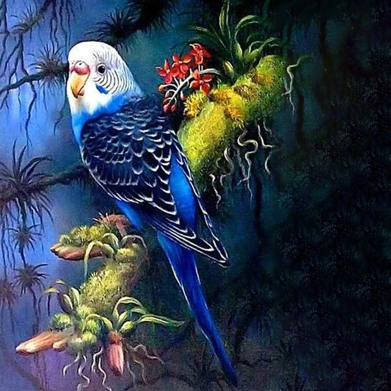 Parrot At Night | Jigsaw Puzzle Canada