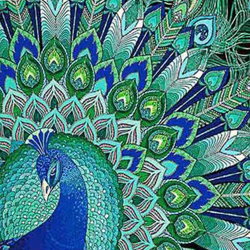 Peacock Beauty Jigsaw Puzzle Canada