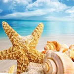 Load image into Gallery viewer, Sandy Shells Jigsaw Puzzle Canada
