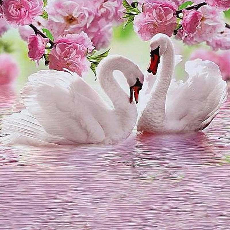 Swan In Love | Jigsaw Puzzle Canada