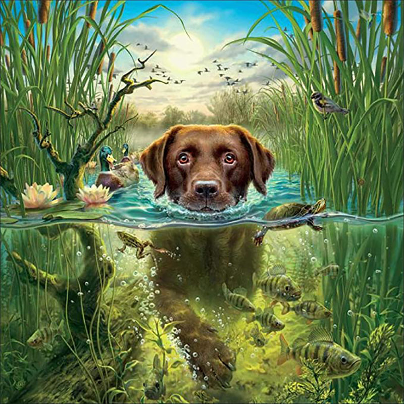 Swimming Dog | Jigsaw Puzzle Canada