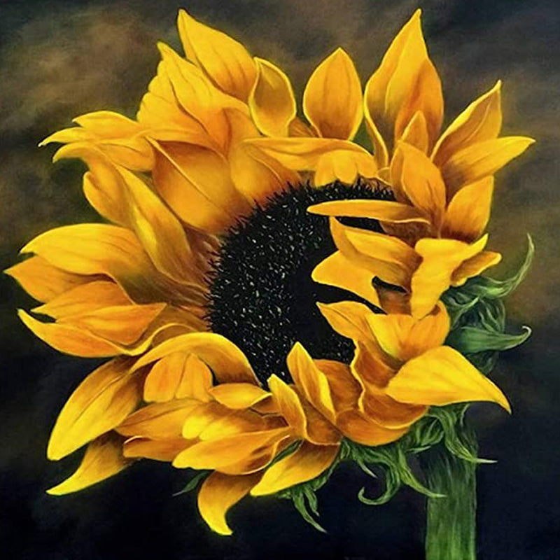 The Shy Sunflower | Jigsaw Puzzle Canada