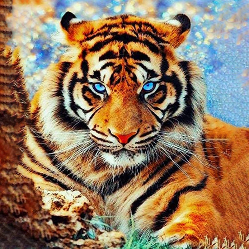 Tiger With Blue Eyes | Jigsaw Puzzle Canada