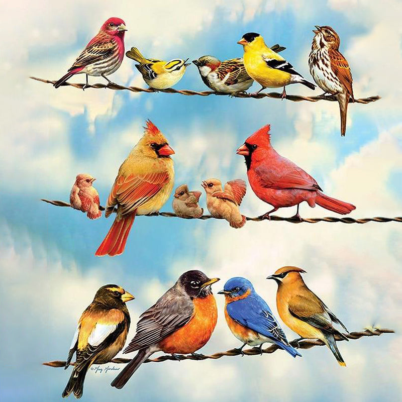 Variety Of Birds | Jigsaw Puzzle Canada