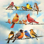 Load image into Gallery viewer, Variety Of Birds | Jigsaw Puzzle Canada
