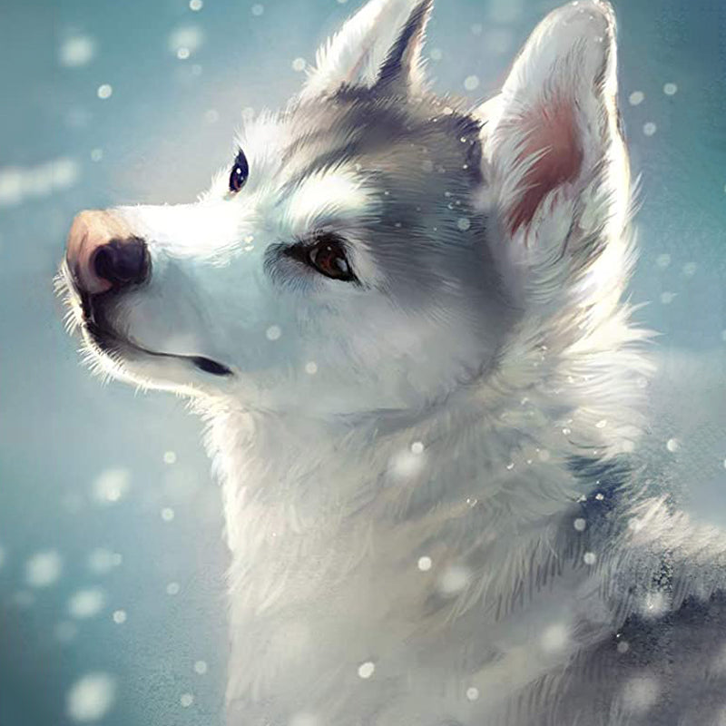 White Wolf In Snow | Jigsaw Puzzle Canada